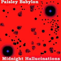 The New CD by Paisley Babylon, Midnight Hallucinations. Paisley Babylon is Joe Wallace on Turntabling Records